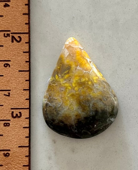 Bumble Bee Jasper