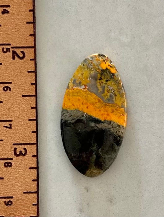 Bumble Bee Jasper